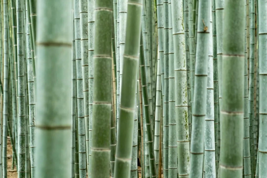 巴彦淖尔普惠金融存款与贷款产品对比及适用场景分析
